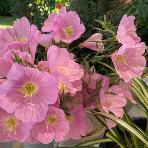 Vintage Lilac Lace Peignoir Gown and Robe - Picture 15 of 15